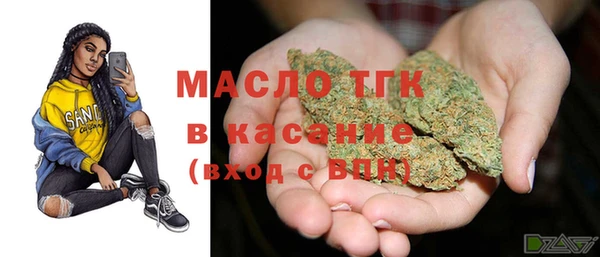 твердый Аркадак