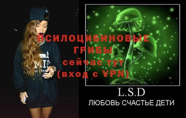 крисы Армянск