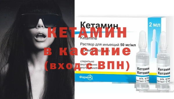 твердый Аркадак