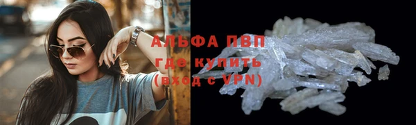твердый Аркадак