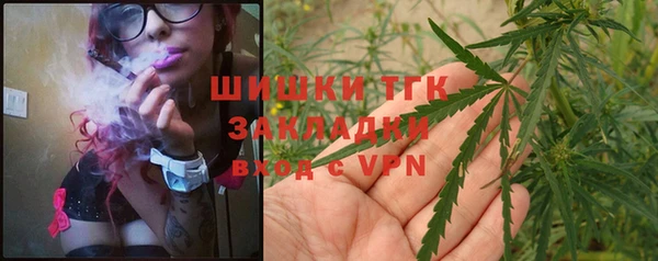 крисы Армянск