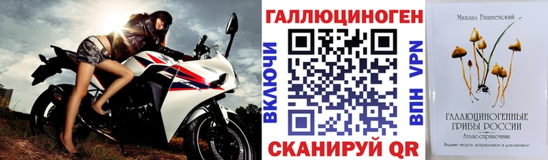 Галлюциногенные грибы Psilocybine cubensis Сортавала